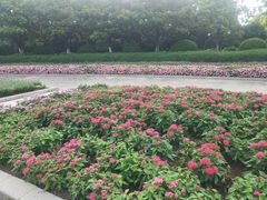 -上海鲜花港