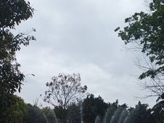 -成都欢乐谷