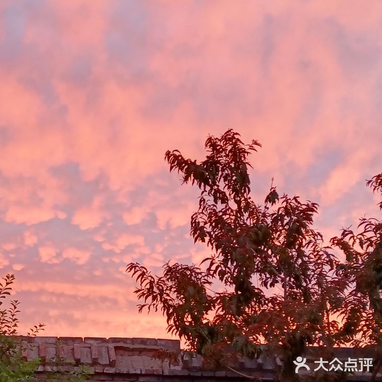 老妈今天早上拍的美丽的朝霞[愉快][强]