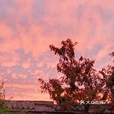 老妈今天早上拍的美丽的朝霞[愉快][强]