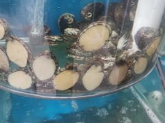 -聚德福海鲜家常菜(刘庄店)