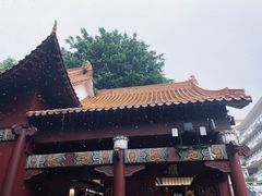 -深圳仙湖植物园