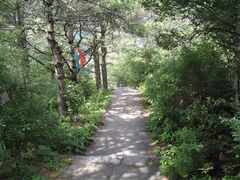 -康定跑马山风景区