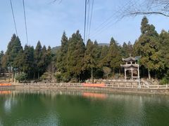 -玉苍山国家森林公园