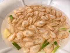 盐水白虾-三凤酒家·百年无锡菜(清扬茂业店)