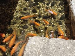 -邈墨茶馆(凤起路店)