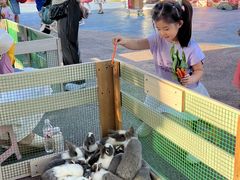 -三亚红色娘子军演艺公园景区