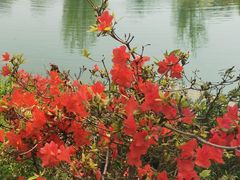 -南阳卧龙岗武侯祠