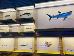 -上海中国航海博物馆