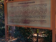 -太阳宫公园