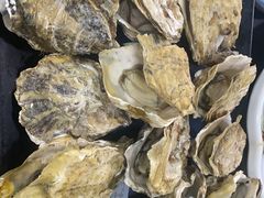 阳江炊蚝-大富蚝乌东哥饭店·石锅鱼杂·柠檬鸭(革新路店)