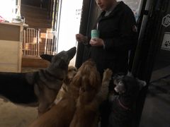 -萌喵咖啡屋(人民东路4号口M16商铺店)