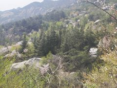-崂山巨峰游览区
