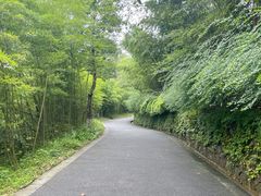 -都江堰中华大熊猫苑