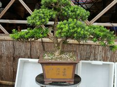 -大笑饭堂(甲子桥店)