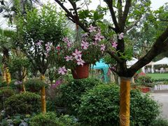 -三圣花乡旅游区