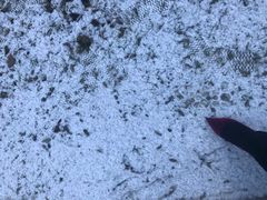 -叠溪松坪沟景区