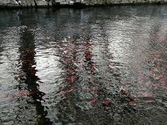 -水磨沟公园