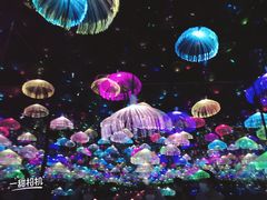 -武汉5D星空错觉艺术馆(中心百货店)