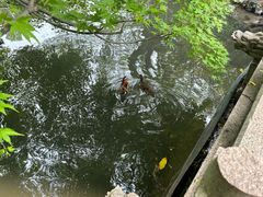-西湖游船