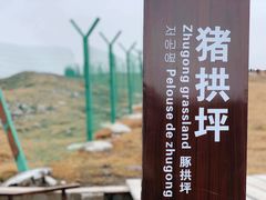-芦芽山旅游度假区