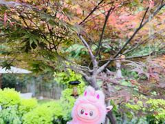-虹之森·小馆