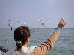 -滇池海埂公园