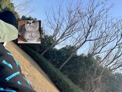 -东平国家森林公园