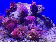 -青岛海底世界-水族馆