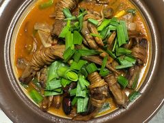 -军子大排档(迎春花园店)