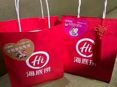 -海底捞火锅(吾悦国际广场店)