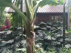 -呀路古热带植物园-恐龙馆