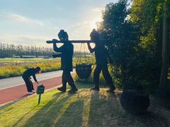 -上海长兴岛郊野公园