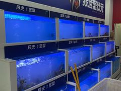 -蟹状元大闸蟹·年货·粽子(成都成华店)