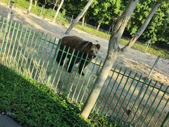 -秦皇岛野生动物园