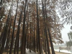 -汉水公园
