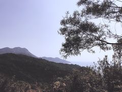 -南丫岛