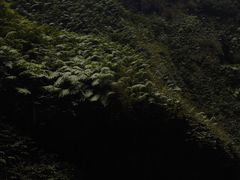 -通灵大峡谷