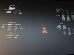 -星轶影院(南京茂业天地店)