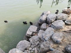 -天津东丽湖风景区