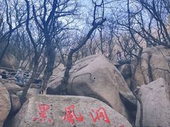 -嵖岈山风景区