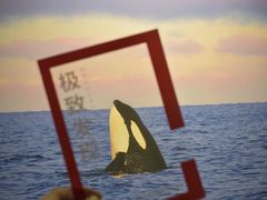 -福州海峡文化艺术中心