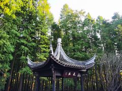 -青山湖景区