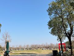 -上海海湾国家森林公园