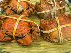 -蟹天蟹地农家菜·阳澄湖大闸蟹(浅水湾店)