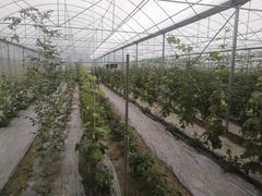 -洪湖家庭农场·团建·露营·会议