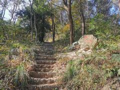 -青龙山国家森林公园