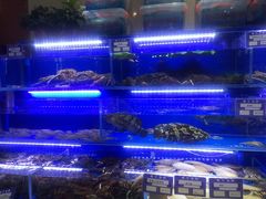 -鹊华居·地道鲁菜·海鲜·融合味(大明湖店)