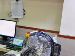 -艾贝尔宠物诊疗