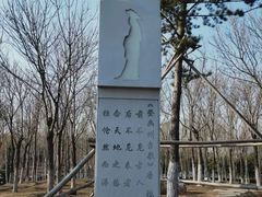 -大兴滨河森林公园